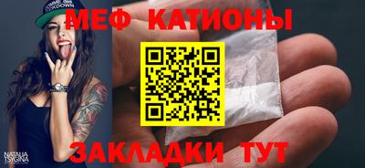 индика Дубна
