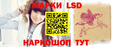 индика Дубна