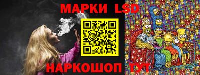 индика Дубна