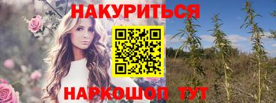 индика Дубна