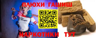 индика Дубна