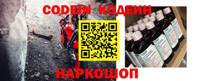 индика Дубна