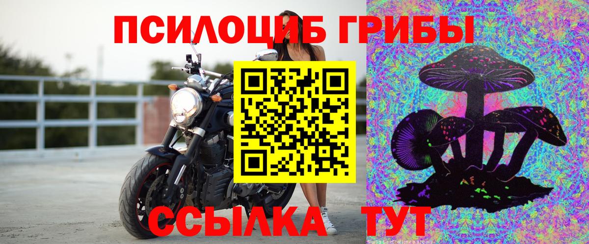 Галлюциногенные грибы Psilocybe  Вход с VPN  Назрань 