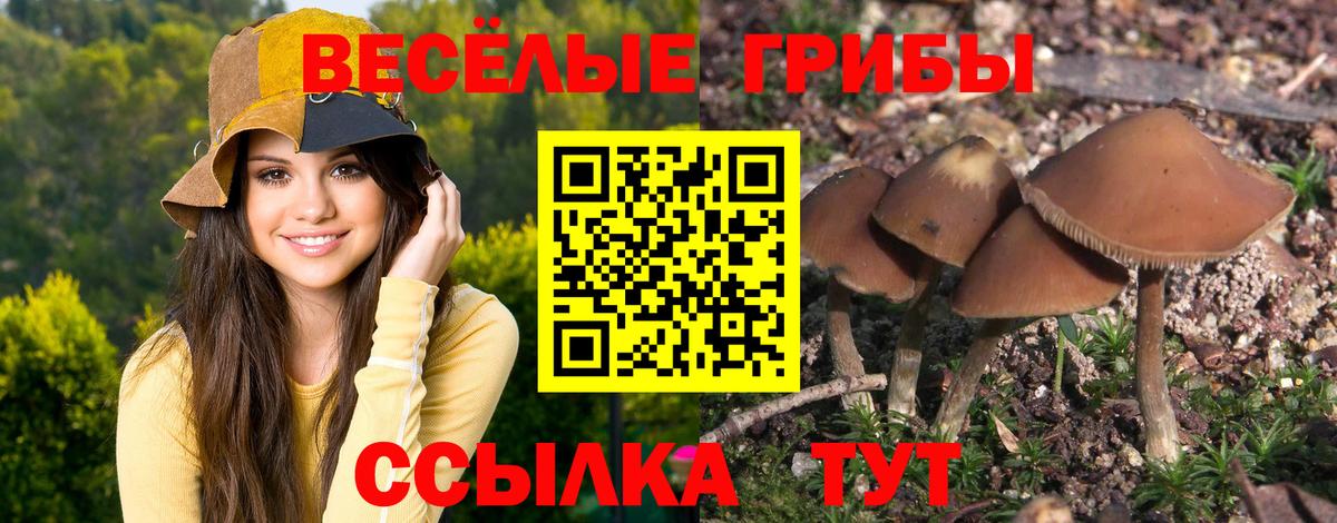 Галлюциногенные грибы мицелий Назрань